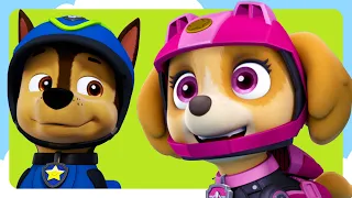 Skye Stops a Trash Truck + MORE | PAW Patrol | Cartoons for Kids