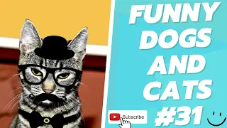 Funny Animal Videos 2022  Best Dogs And Cats Videos 😺😍 # 31