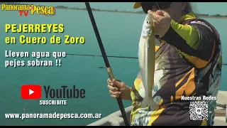 PESCA DE PEJERREY en "Cuero de Zorro" - Más pejes que agua.