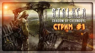 НАЧИНАЕМ ПОКОРЯТЬ ЗОНУ! 🔴 S.T.A.L.K.E.R.: Shadow Of Chernobyl СТРИМ #1