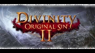 Divinity: OS II [ДоблестьСоло маг3 акт] - 12