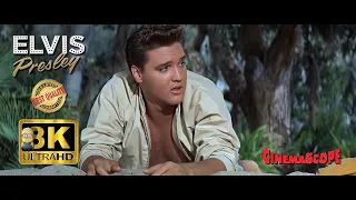 Elvis Presley AI 8K Enhanced ⭐Ultimate Quality⭐ - Follow That Dream 1962