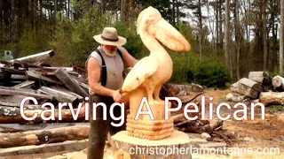 Chainsaw Carving a pelican