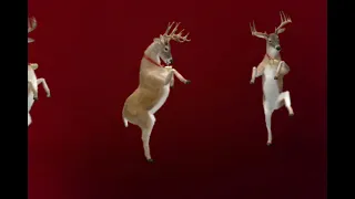 Dancing reindeer