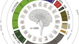 Meta-analysis | Wikipedia audio article