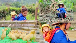 Single mother - bought a duck thanks to the luck of finding precious medicine in the forest