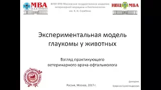 Экспериментальная модель глаукомы у животных. Ветеринарный врач-офтальмолог Бояринов С.А.