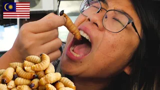 Eating GIANT WORMS in Malaysia 🇲🇾 Crazy food in Sabah