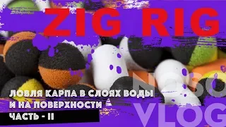 Ловля карпа на оснастку ZIG RIG, часть 2