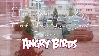 Angry Birds - Happy Valentine's Day