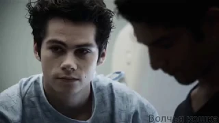 Клаус и Стайлз || Ты можешь не бояться || Klaus & Stiles