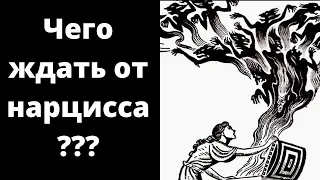 Как ведёт себя нарцисс после расставания? Пустые обещания, пинги, крокодильи слёзы и многое другое