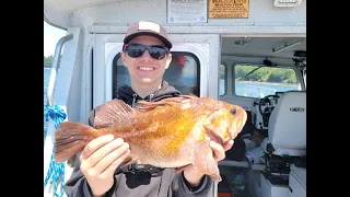 Hunting a fish that has been caught 5 times in 25 YEARS! (NOAA trip)