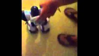 Robot dance don omar-danze kaduro