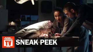 Siren S01E01 Sneak Peek | 'A New Predator' | Rotten Tomatoes TV