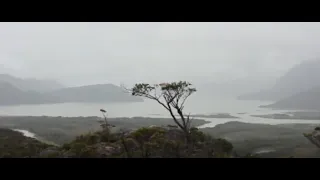 Vientos Del Mar (Los Vega) - Sinestesia