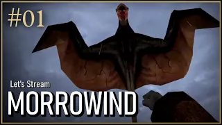 Let's Stream Morrowind Again - 01 - Sister Sally, Punching Cliff Racers, The Merits of Muck