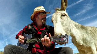 Serenaded Hazel the donkey wants her holiday song all year long. She won’t have a Blue Christmas