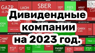 5 Лучших дивидендных компании в 2023 году.