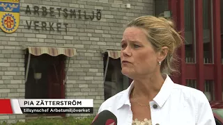 Arbetsplatsolyckor bland unga ökar - Nyheterna (TV4)