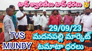 29/09/23 Madanapalle Tomato Market Price Today || Today Tomato Market Rate In Madanapalle #today