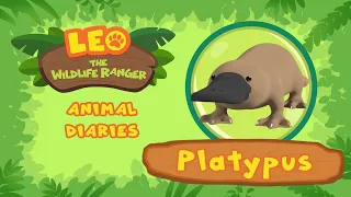 The Platypus | What A Fascinating Animal! | Leo the Wildlife Ranger | Fun Animal Facts