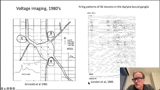 Karel Svoboda: "The past, present and future of calcium imaging to spy on neurons ..."