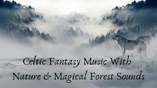 Celtic Fantasy Music With Nature & Magical Forest Sounds [3 Hours Enchanted Mystical Musical Video]