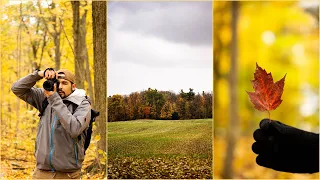 Fall Forest POV Photography / Sony A6000 / Tamron 17-70mm F2.8