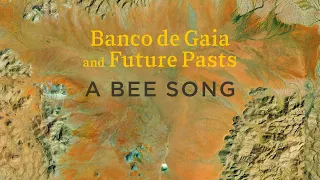 Banco de Gaia and Future Pasts - A Bee Song