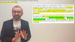 Ley de Contratos del Sector Público - 9/2017 - Lotes