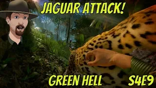 Jaguar VS Metal Armor- Green Hell S4E9