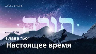 Недельная глава Бо. Настоящее время. Шемот 13:1-16