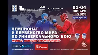 Чемпионат и первенство мира по универсальному бою