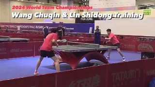 Wang Chuqin & Lin Shidong Training | 2024 World Team Championships Finals Busan