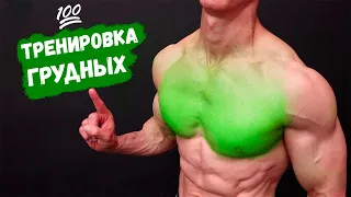 💯 Тренировка Грудных (САМАЯ ЭФФЕКТИВНАЯ!)