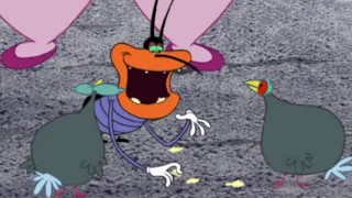 Oggy and the Cockroaches 🐦 BIRDS & DEEDEE 🐦 Full Episode HD