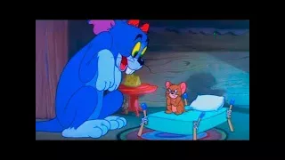 Tom And Jerry English Episodes - Nit Witty Kitty - Cartoons For Kids