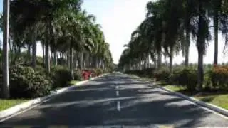 punta cana.wmv