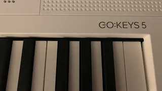 New Roland Go-Keys 5 - Build Quality Issues - Buyer Beware!