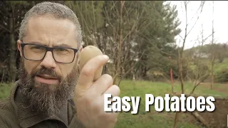 Planting Potatoes the Easy Way - The Great Potato Planting Experiment - Organic Vegetable Gardening