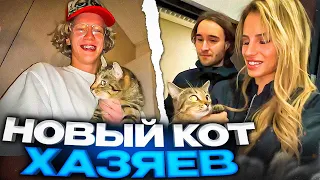 К ХАЗЯЕВАМ ПРИЕХАЛ НОВЫЙ ДРУГ! | УГАР У КОРЕША В КВАРТИРЕ