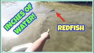 SIGHT FISHING REDFISH in SUPER SHALLOW WATER! (Grand Isle, LA)