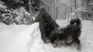 3 Days WINTER CAMPING in Blizzard With My Dog. -13° wilderness survival. Snowstorm Bushcraft