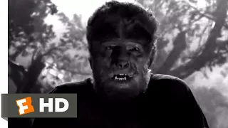 The Wolf Man (1941) - The Hunt is On Scene (9/10) | Movieclips