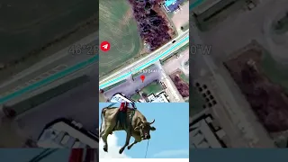 Huge Flying Cow 😱 Found In Google Maps 😱 #shorts #googleearth #googlemap