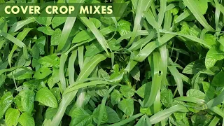 Cover Crop Mixes