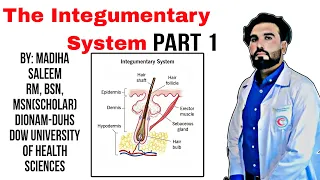 Human Skin | Integumentary system Anatomy in Hindi | Structure | Layers | Part-1 | Dow univesrsity