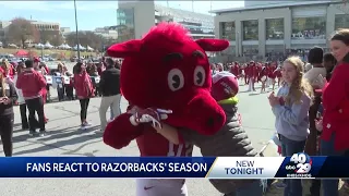 Hog fans reflect on 4-8 season