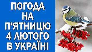 ПОГОДА НА ЗАВТРА : ПОГОДА НА 4 ЛЮТОГО